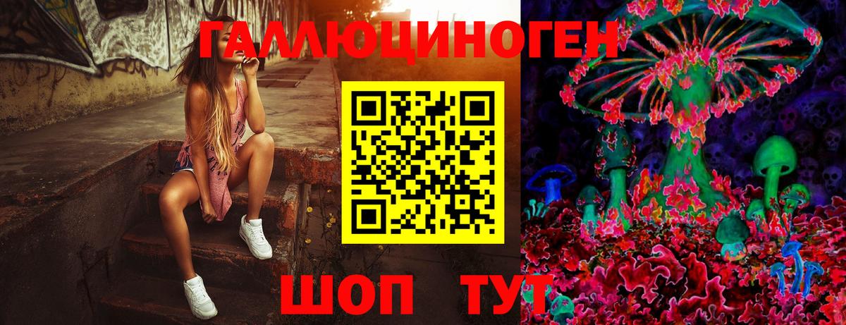 Бирск  Галлюциногенные грибы мухоморы  Вход с VPN  Галлюциногенные грибы Psilocybe 